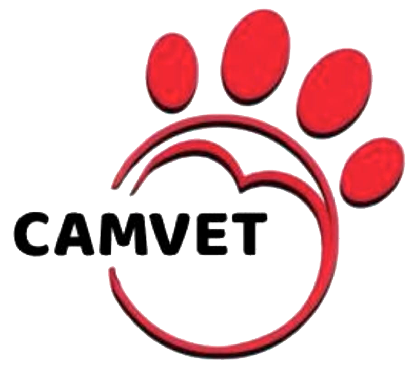 CAMVET Logo